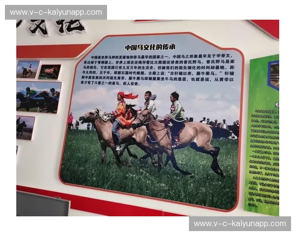 伤病马术：从预防到康复，守护你和马的赛道